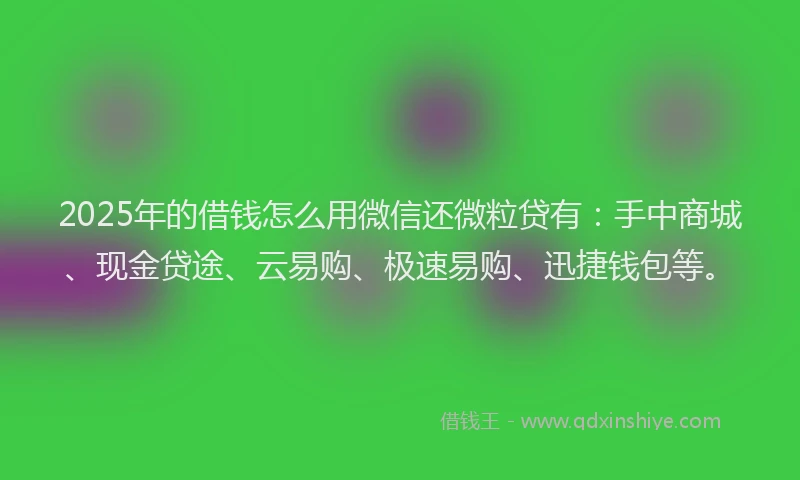 2025年的借钱怎么用微信还微粒贷有：手中商城、现金贷途、云易购、极速易购、迅捷钱包等。