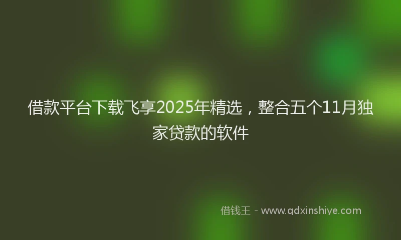 借款平台下载飞享2025年精选，整合五个11月独家贷款的软件