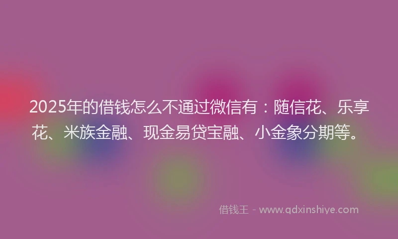 2025年的借钱怎么不通过微信有：随信花、乐享花、米族金融、现金易贷宝融、小金象分期等。