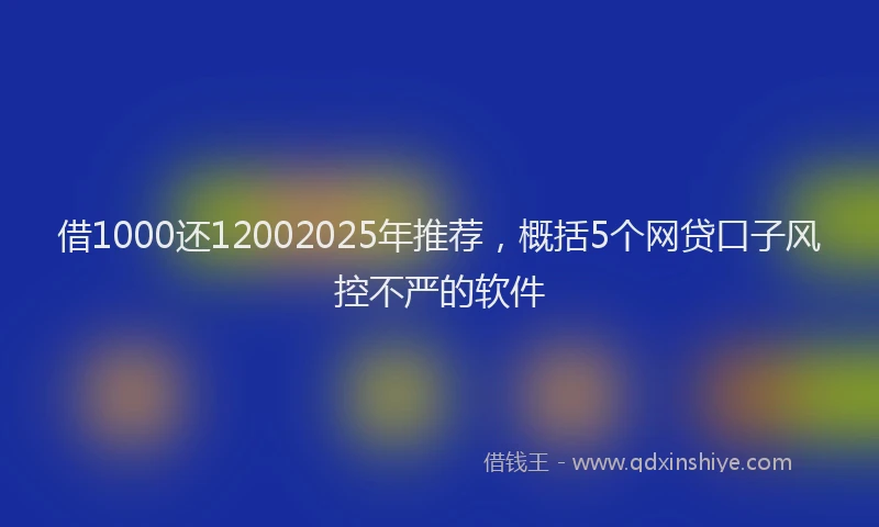 借1000还12002025年推荐，概括5个网贷口子风控不严的软件