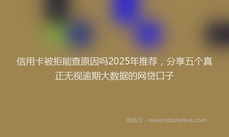 信用卡被拒能查原因吗2025年推荐，分享五个真正无视逾期大数据的网贷口子
