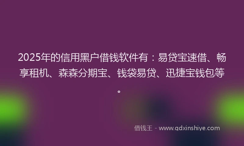 2025年的信用黑户借钱软件有：易贷宝速借、畅享租机、森森分期宝、钱袋易贷、迅捷宝钱包等。