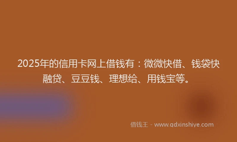 2025年的信用卡网上借钱有：微微快借、钱袋快融贷、豆豆钱、理想给、用钱宝等。