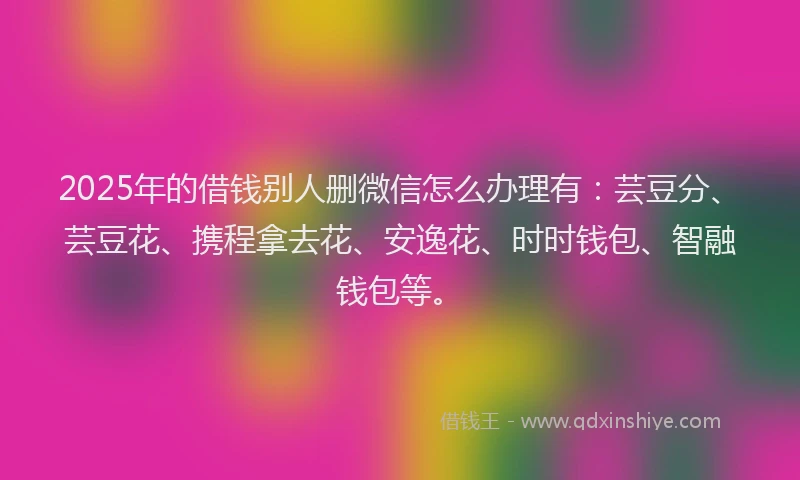 2025年的借钱别人删微信怎么办理有：芸豆分、芸豆花、携程拿去花、安逸花、时时钱包、智融钱包等。