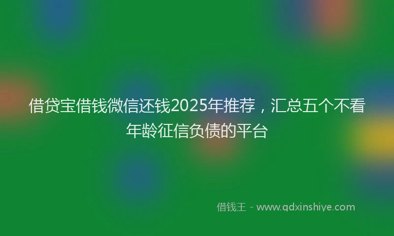 借贷宝借钱微信还钱2025年推荐，汇总五个不看年龄征信负债的平台