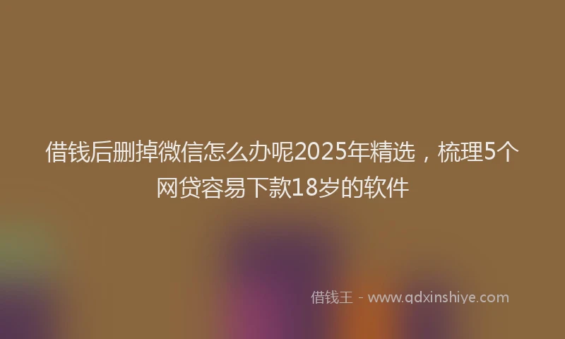 借钱后删掉微信怎么办呢2025年精选,梳理5个网贷容易下款18岁的软件