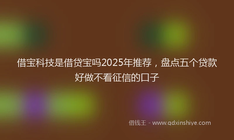 借宝科技是借贷宝吗2025年推荐，盘点五个贷款好做不看征信的口子