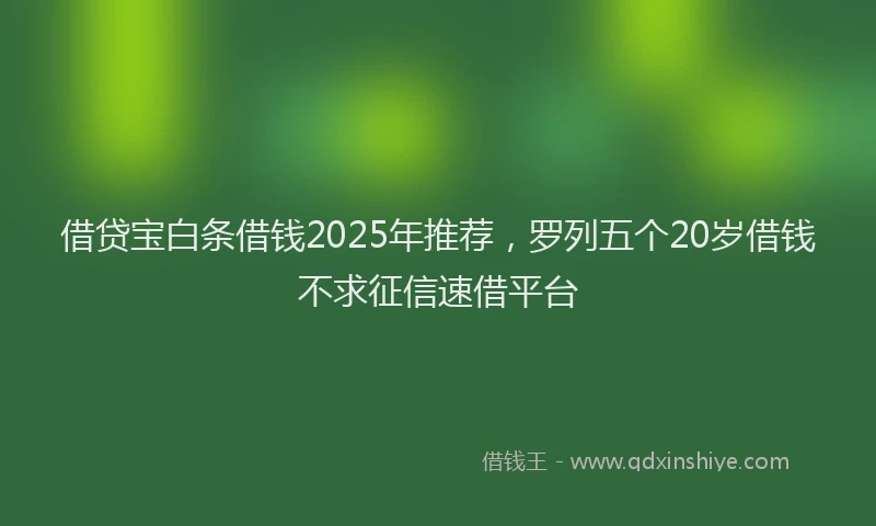 借贷宝白条借钱2025年推荐，罗列五个20岁借钱不求征信速借平台