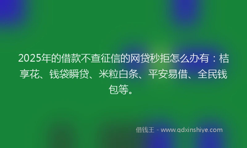 2025年的借款不查征信的网贷秒拒怎么办有：桔享花、钱袋瞬贷、米粒白条、平安易借、全民钱包等。