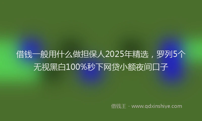 借钱一般用什么做担保人2025年精选，罗列5个无视黑白100%秒下网贷小额夜间口子