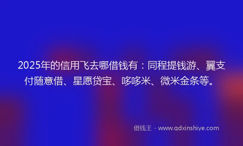 2025年的信用飞去哪借钱有：同程提钱游、翼支付随意借、星愿贷宝、哆哆米、微米金条等。