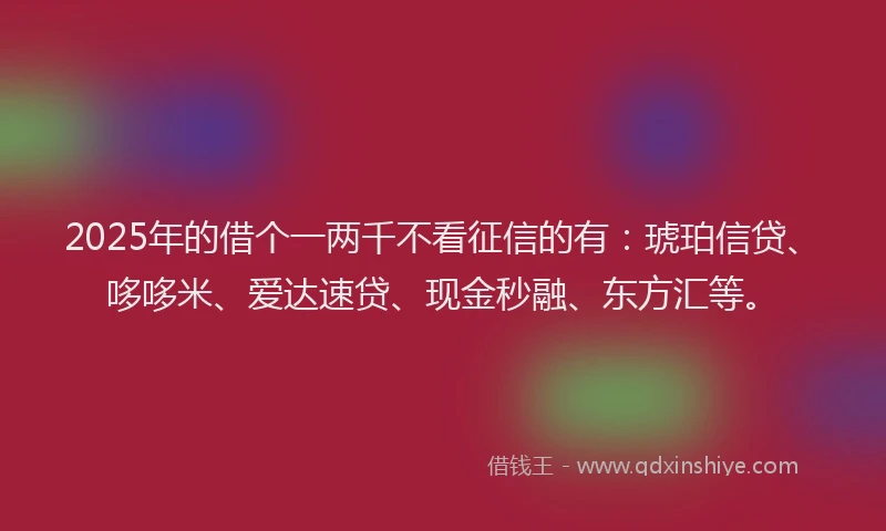 2025年的借个一两千不看征信的有：琥珀信贷、哆哆米、爱达速贷、现金秒融、东方汇等。