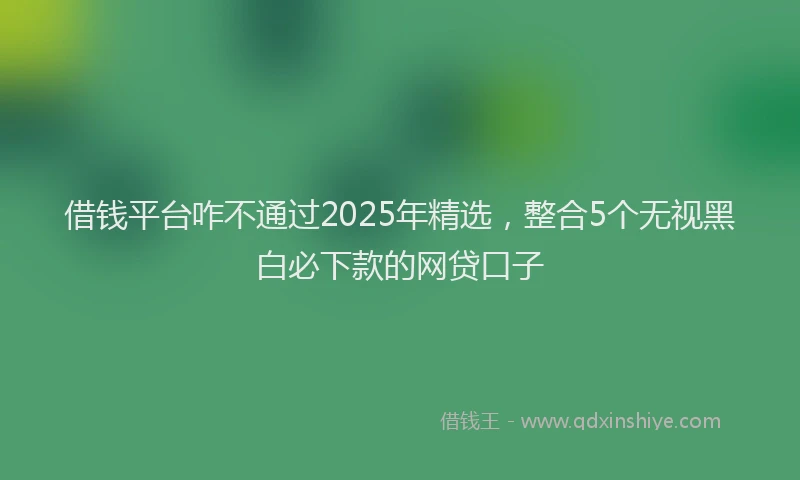 借钱平台咋不通过2025年精选，整合5个无视黑白必下款的网贷口子