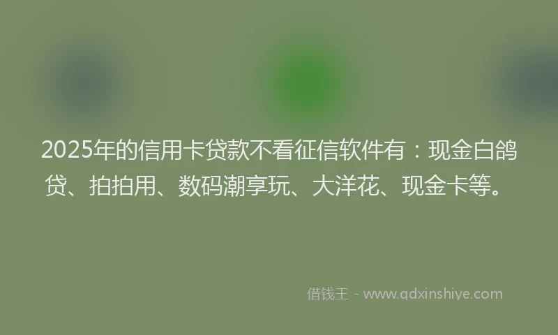 2025年的信用卡贷款不看征信软件有：现金白鸽贷、拍拍用、数码潮享玩、大洋花、现金卡等。