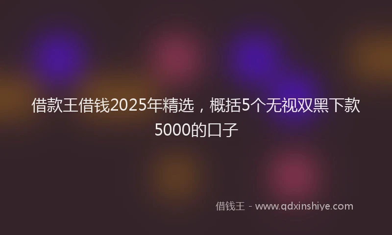 借款王借钱2025年精选，概括5个无视双黑下款5000的口子