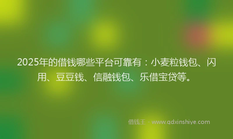 2025年的借钱哪些平台可靠有：小麦粒钱包、闪用、豆豆钱、信融钱包、乐借宝贷等。