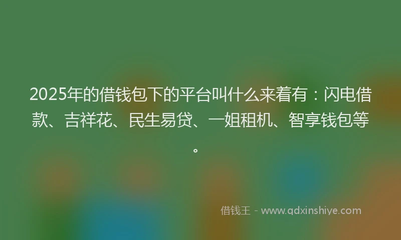 2025年的借钱包下的平台叫什么来着有：闪电借款、吉祥花、民生易贷、一姐租机、智享钱包等。