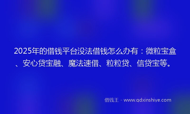 2025年的借钱平台没法借钱怎么办有：微粒宝盒、安心贷宝融、魔法速借、粒粒贷、信贷宝等。