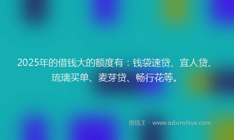 2025年的借钱大的额度有：钱袋速贷、宜人贷、琉璃买单、麦芽贷、畅行花等。