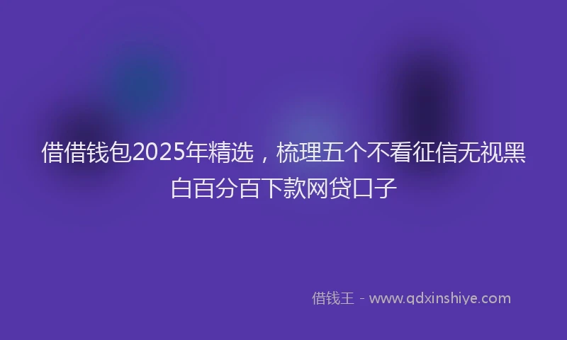 借借钱包2025年精选，梳理五个不看征信无视黑白百分百下款网贷口子