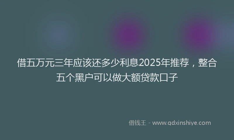 借五万元三年应该还多少利息2025年推荐，整合五个黑户可以做大额贷款口子