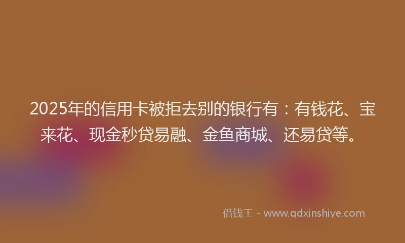 2025年的信用卡被拒去别的银行有：有钱花、宝来花、现金秒贷易融、金鱼商城、还易贷等。