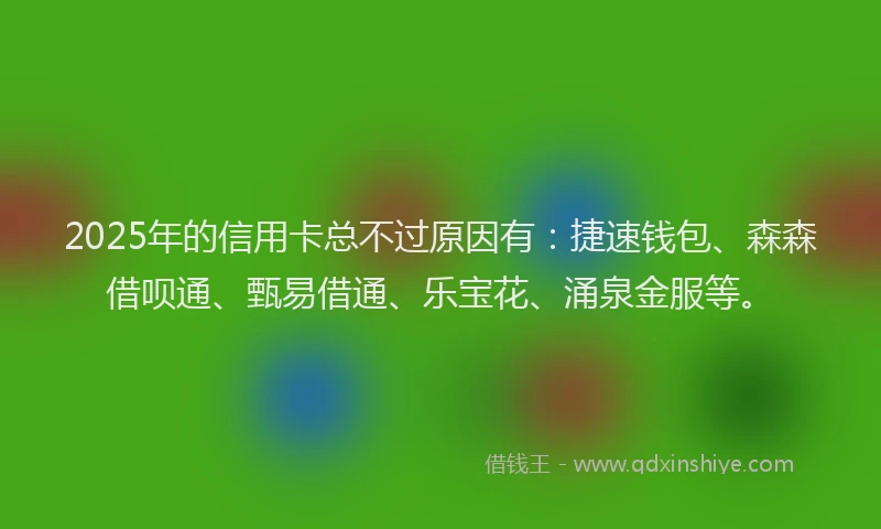 2025年的信用卡总不过原因有：捷速钱包、森森借呗通、甄易借通、乐宝花、涌泉金服等。