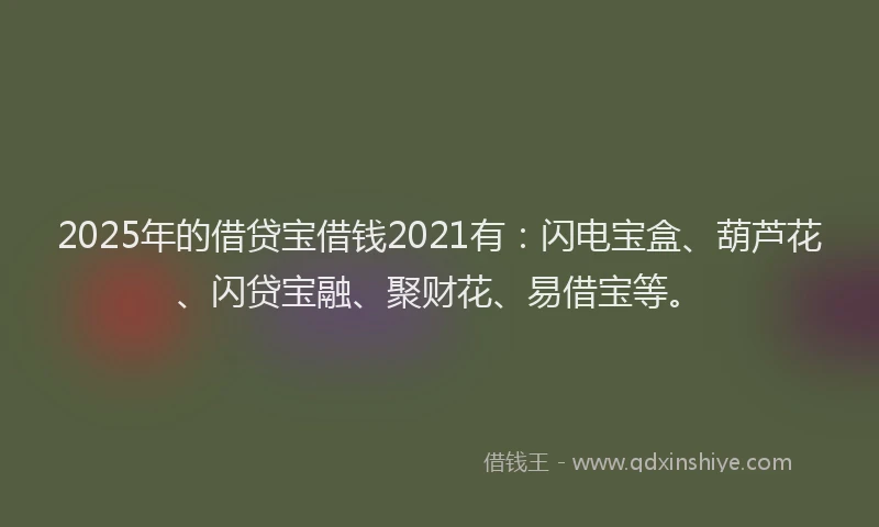 2025年的借贷宝借钱2021有：闪电宝盒、葫芦花、闪贷宝融、聚财花、易借宝等。