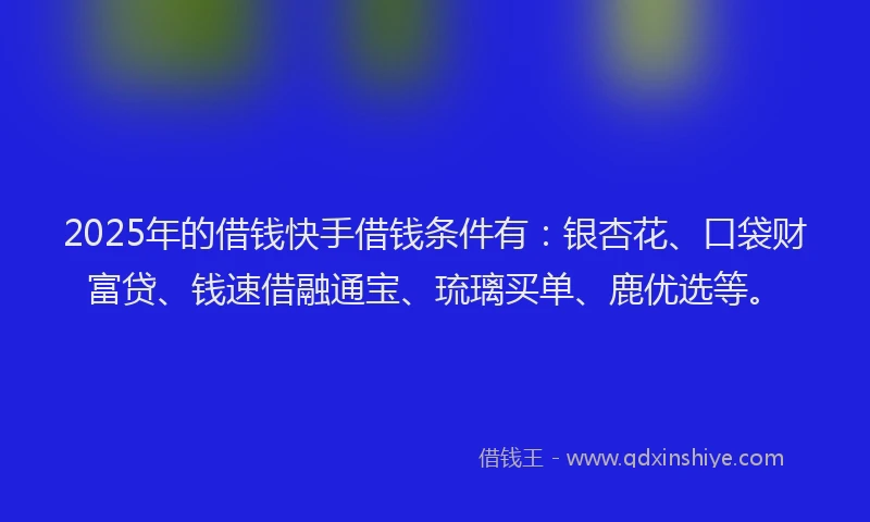 2025年的借钱快手借钱条件有：银杏花、口袋财富贷、钱速借融通宝、琉璃买单、鹿优选等。