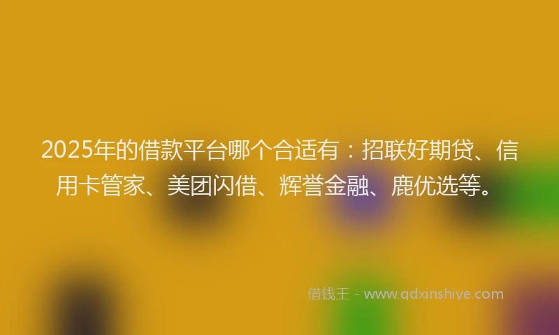 2025年的借款平台哪个合适有：招联好期贷、信用卡管家、美团闪借、辉誉金融、鹿优选等。