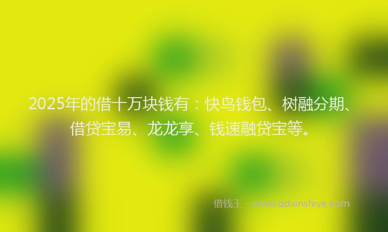 2025年的借十万块钱有：快鸟钱包、树融分期、借贷宝易、龙龙享、钱速融贷宝等。