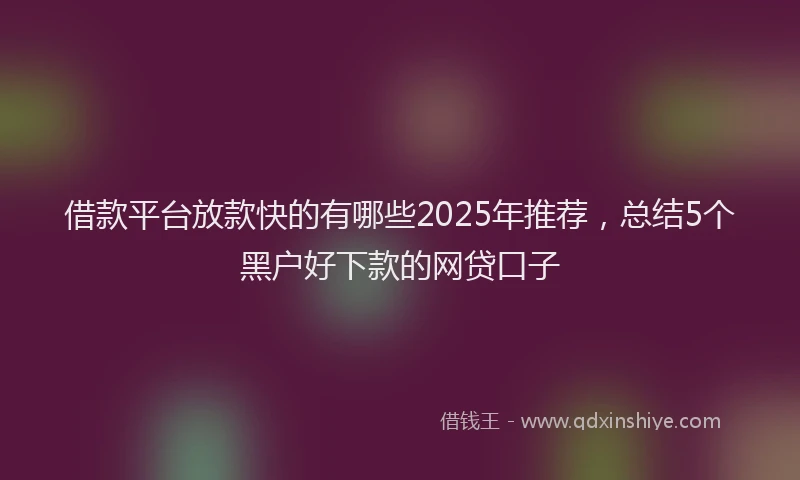 借款平台放款快的有哪些2025年推荐，总结5个黑户好下款的网贷口子