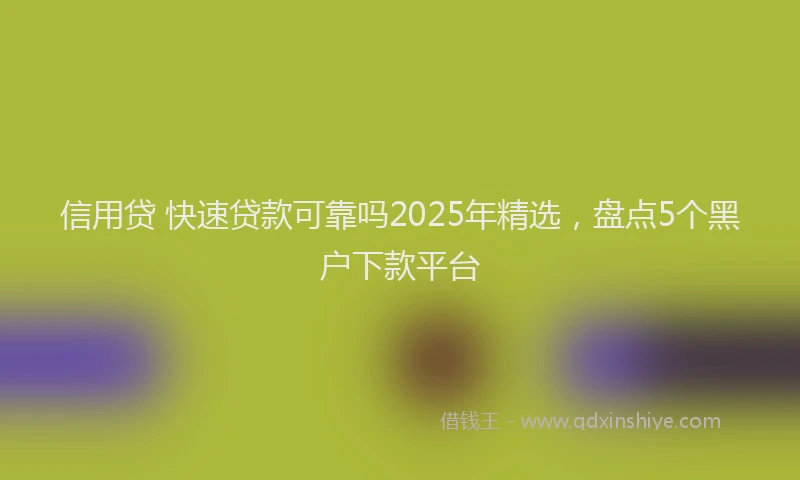 信用贷 快速贷款可靠吗2025年精选，盘点5个黑户下款平台