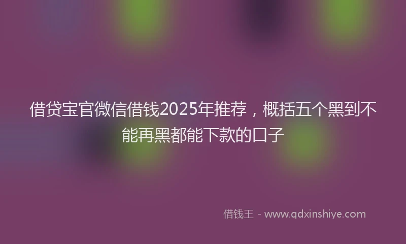 借贷宝官微信借钱2025年推荐，概括五个黑到不能再黑都能下款的口子