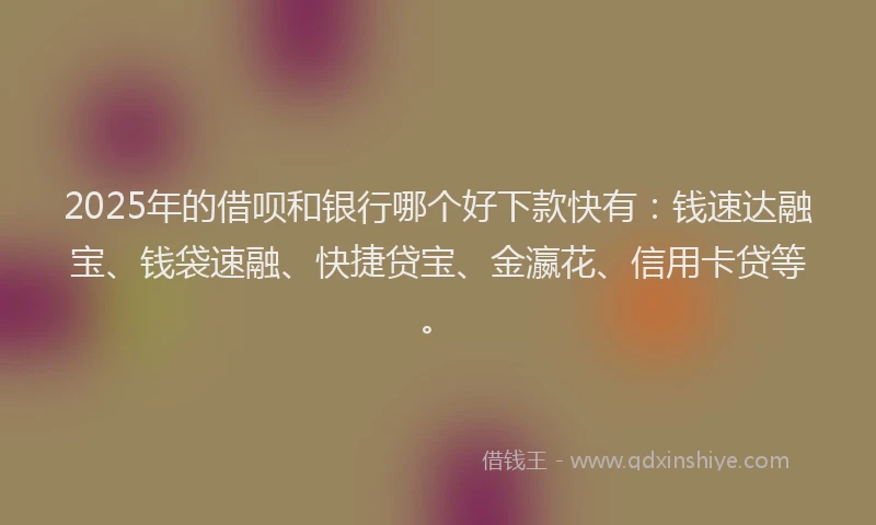 2025年的借呗和银行哪个好下款快有：钱速达融宝、钱袋速融、快捷贷宝、金瀛花、信用卡贷等。