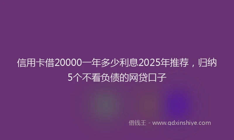 信用卡借20000一年多少利息2025年推荐，归纳5个不看负债的网贷口子