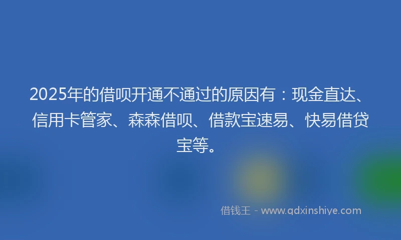 2025年的借呗开通不通过的原因有：现金直达、信用卡管家、森森借呗、借款宝速易、快易借贷宝等。