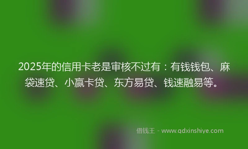 2025年的信用卡老是审核不过有：有钱钱包、麻袋速贷、小赢卡贷、东方易贷、钱速融易等。