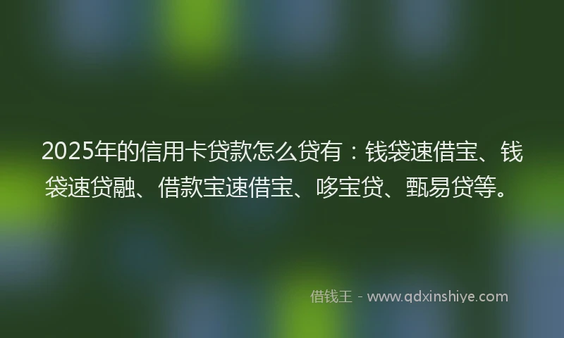 2025年的信用卡贷款怎么贷有：钱袋速借宝、钱袋速贷融、借款宝速借宝、哆宝贷、甄易贷等。