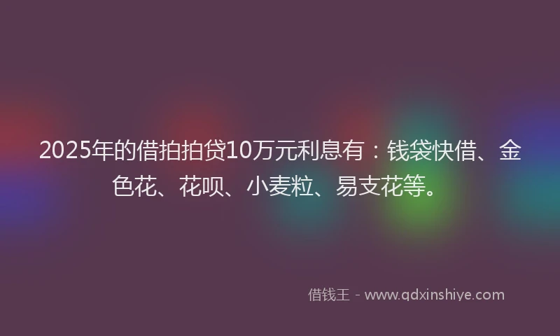 2025年的借拍拍贷10万元利息有：钱袋快借、金色花、花呗、小麦粒、易支花等。