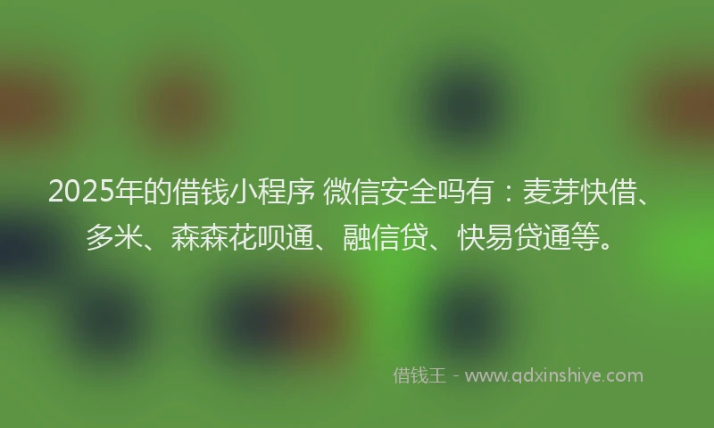 2025年的借钱小程序 微信安全吗有：麦芽快借、多米、森森花呗通、融信贷、快易贷通等。