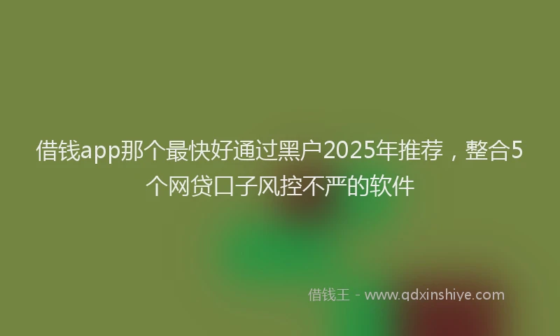 借钱app那个最快好通过黑户2025年推荐，整合5个网贷口子风控不严的软件