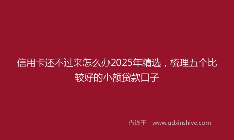 信用卡还不过来怎么办2025年精选，梳理五个比较好的小额贷款口子