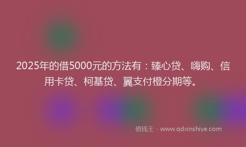 2025年的借5000元的方法有：臻心贷、嗨购、信用卡贷、柯基贷、翼支付橙分期等。