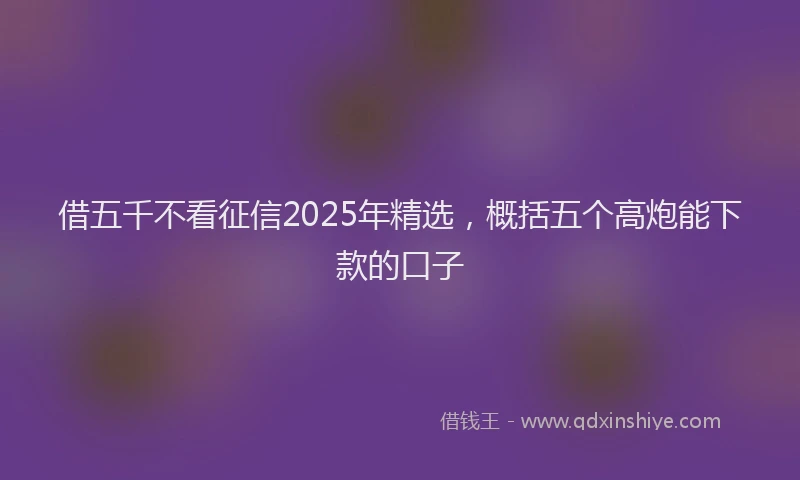 借五千不看征信2025年精选，概括五个高炮能下款的口子