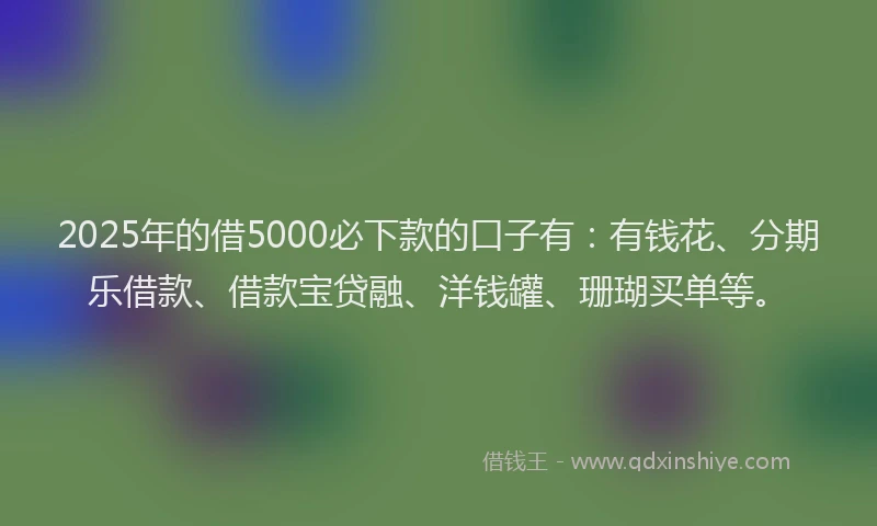 2025年的借5000必下款的口子有：有钱花、分期乐借款、借款宝贷融、洋钱罐、珊瑚买单等。
