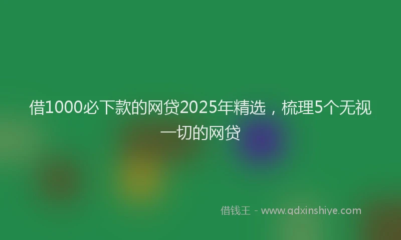 借1000必下款的网贷2025年精选，梳理5个无视一切的网贷
