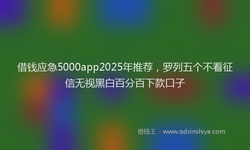 借钱应急5000app2025年推荐，罗列五个不看征信无视黑白百分百下款口子