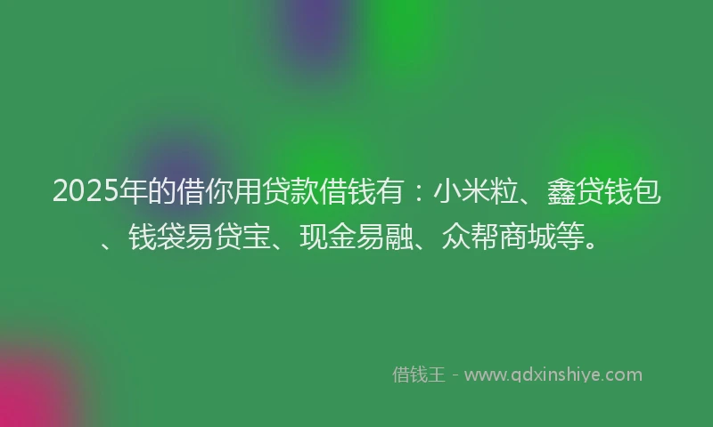 2025年的借你用贷款借钱有：小米粒、鑫贷钱包、钱袋易贷宝、现金易融、众帮商城等。