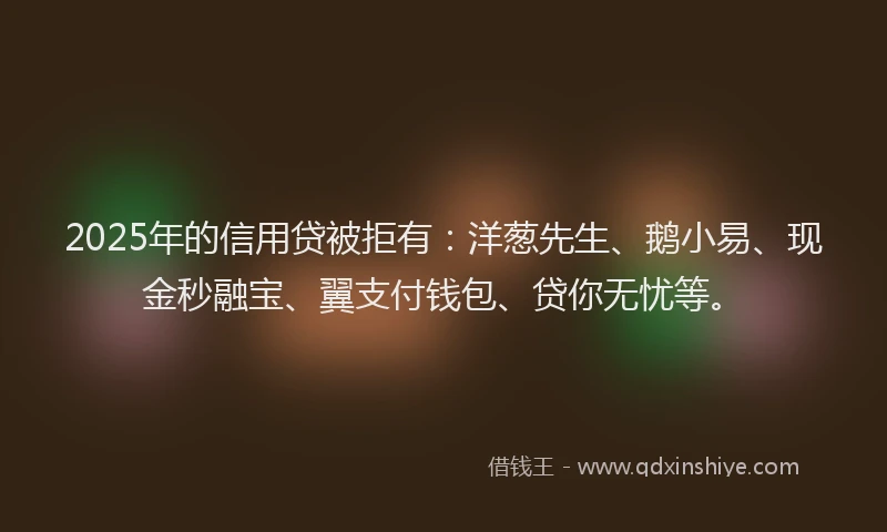 2025年的信用贷被拒有：洋葱先生、鹅小易、现金秒融宝、翼支付钱包、贷你无忧等。